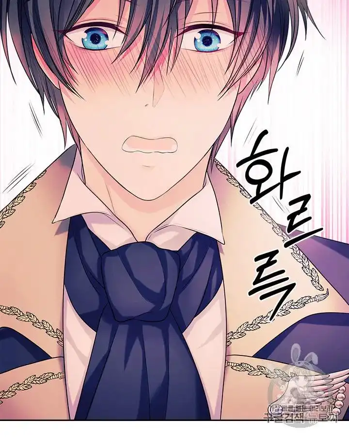 Sincerely: I Became a Duke's Maid Chapter 71 97